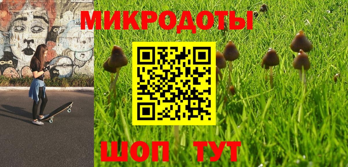 Галлюциногенные грибы Psilocybine cubensis Якутск