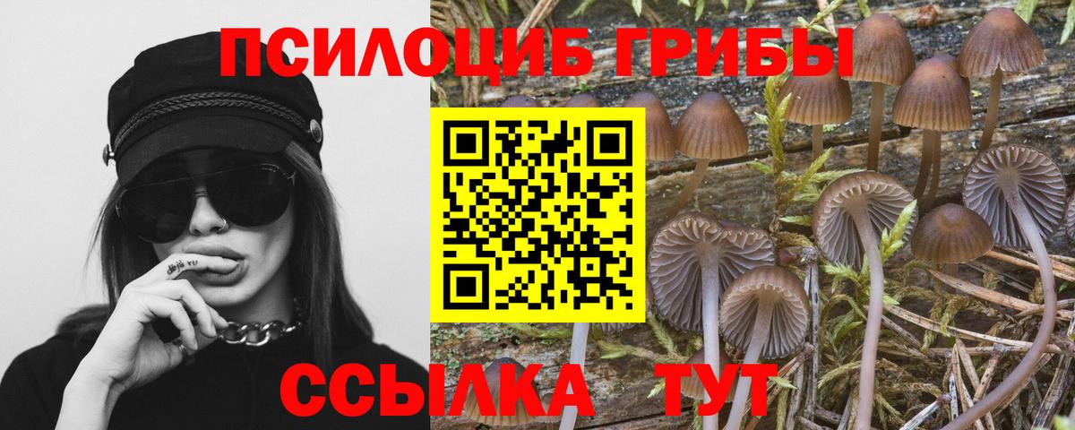 Псилоцибиновые грибы Magic Shrooms  Вход с VPN  Якутск 